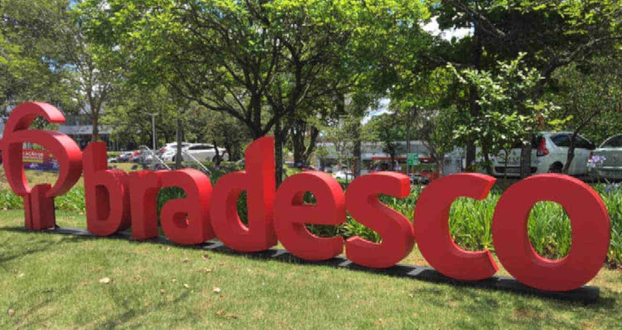 Bradesco Bradespar pagamento dividendos BRAP3 BRAP4 data com sem prazos regras pagamento Vale VALE3 lucro