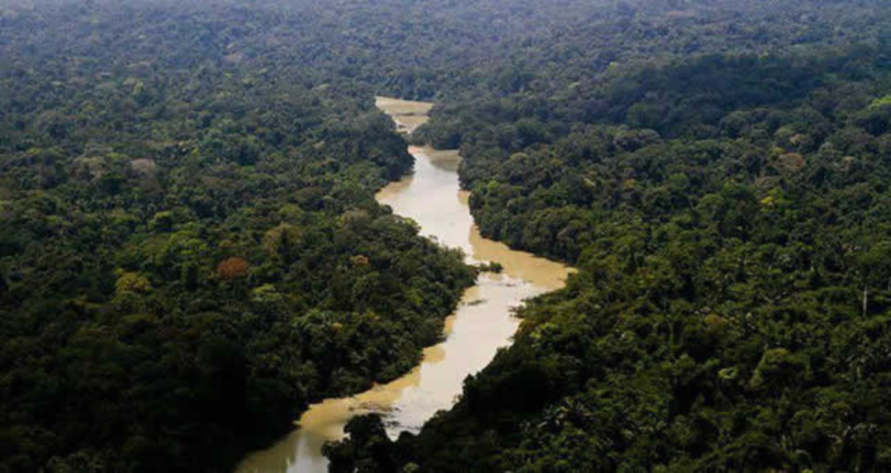 código florestal união europeia (1)