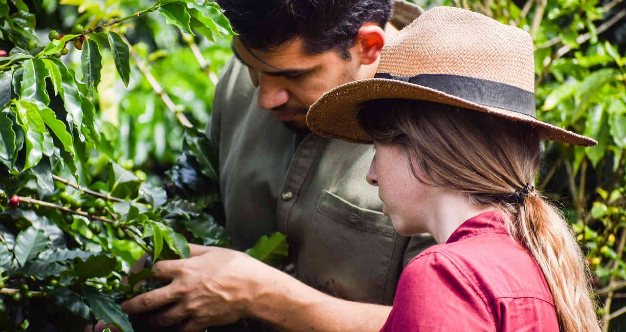 Cooperativismo cooperativas agronegócio agricultura empreendedorismo implantação cuidados vantagens exportação