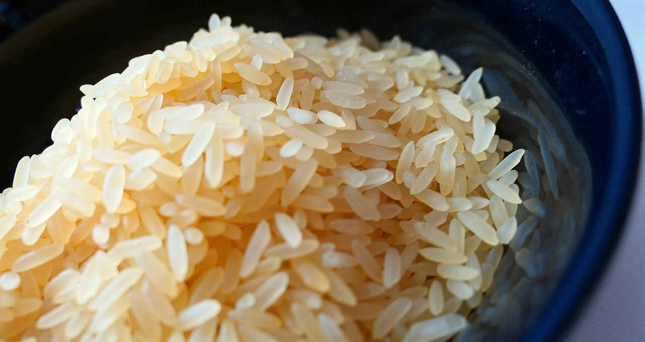 arroz rio grande do sul