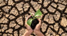 efeito estufa, crise climática