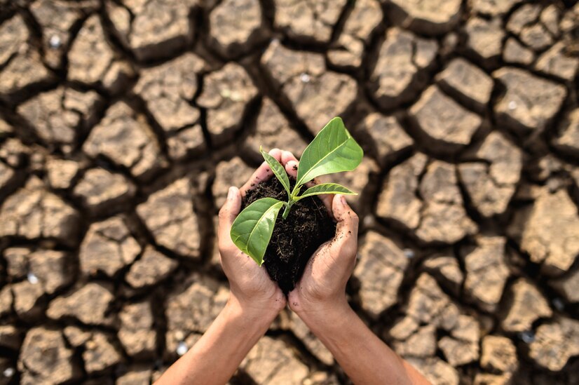 efeito estufa, crise climática