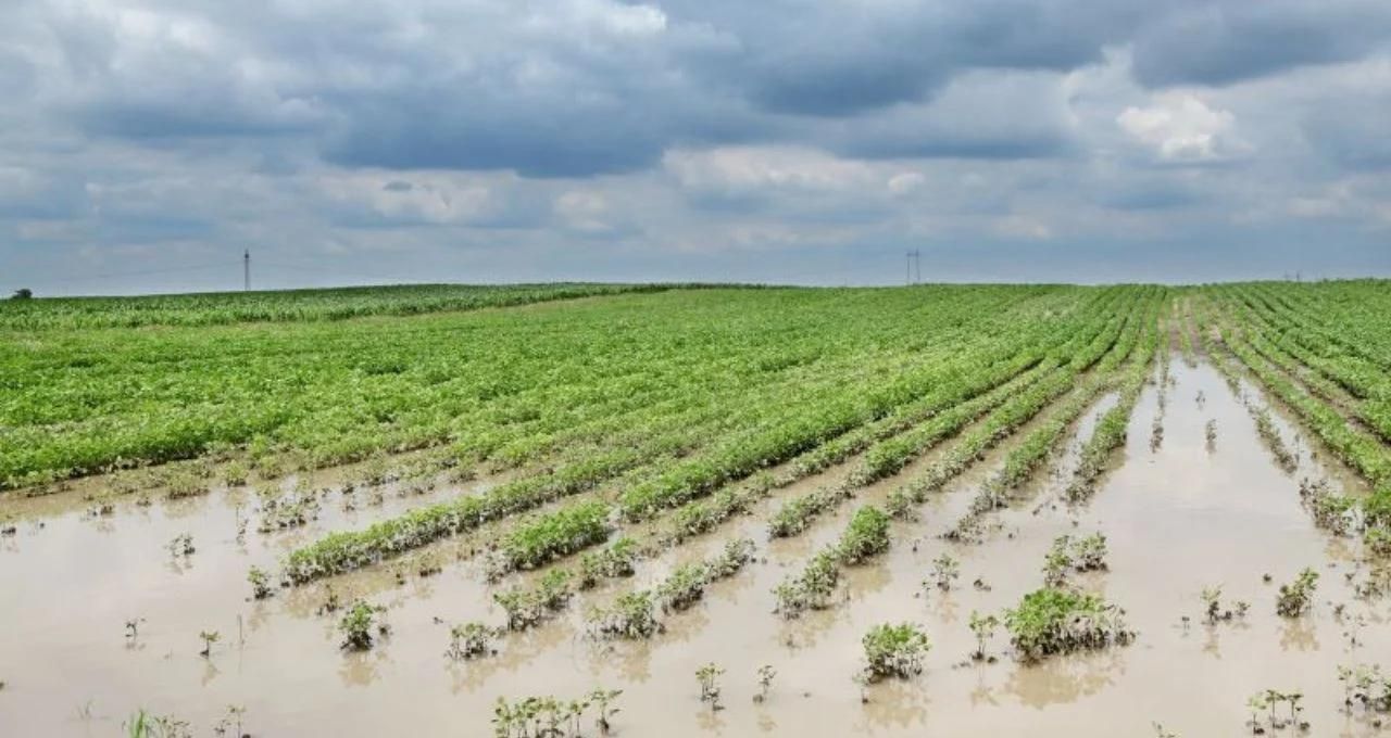 rio grande do sul crédito rural