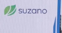 suzano