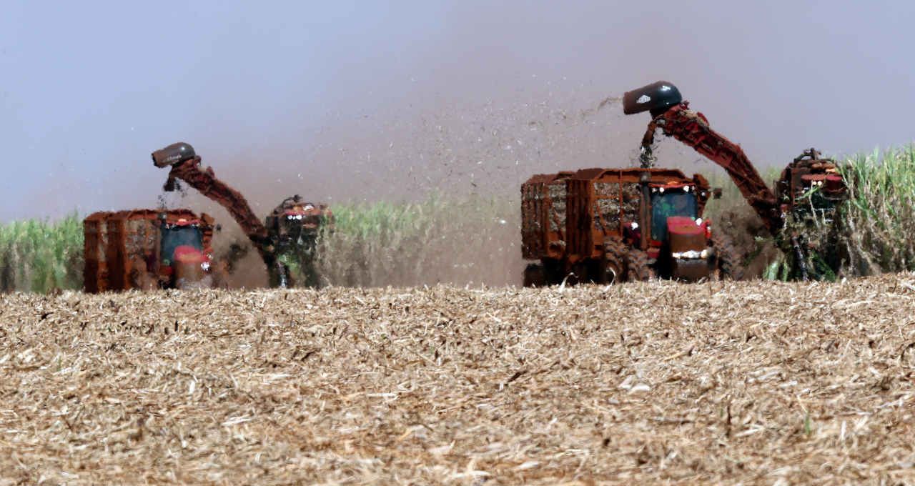 agro ações