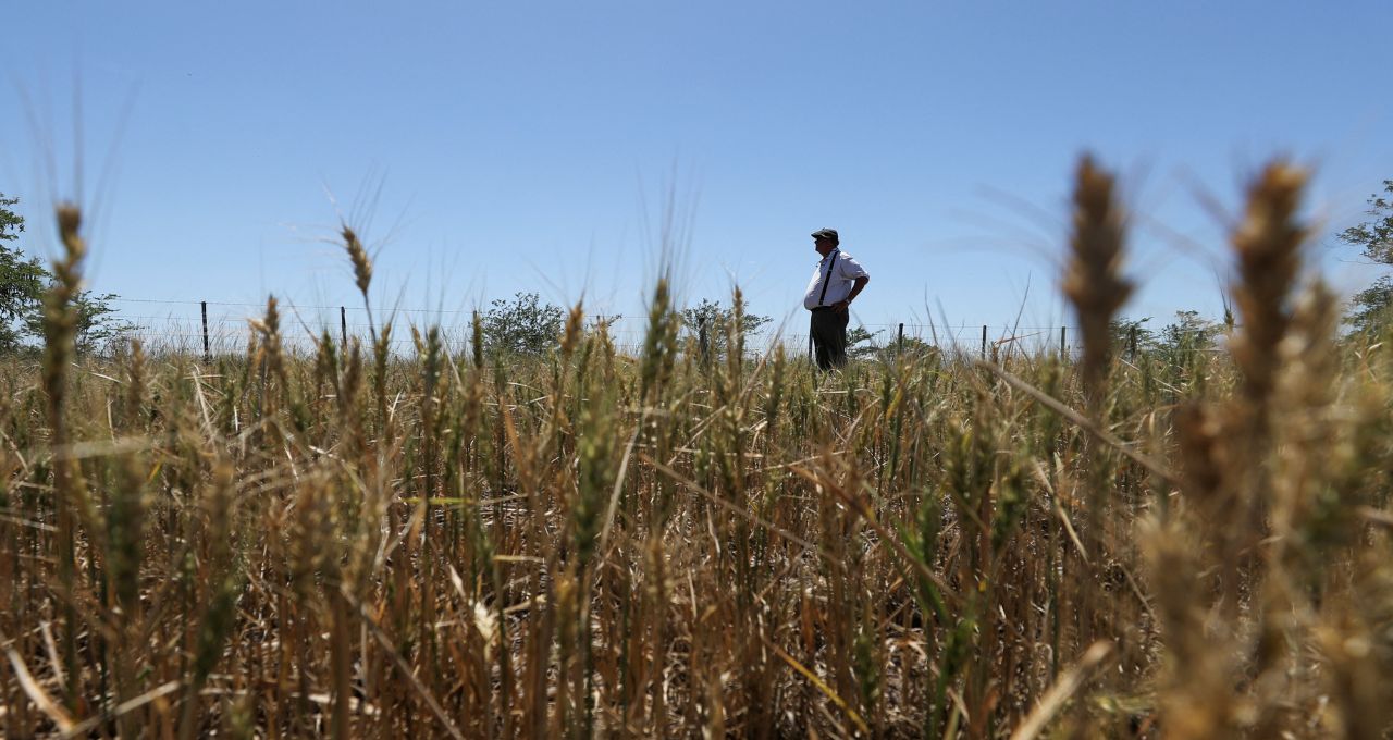 la niña el niño (1)