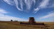 ministério da agricultura plano safra