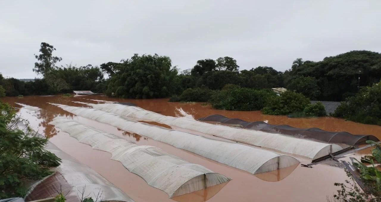 rio grande do sul agro