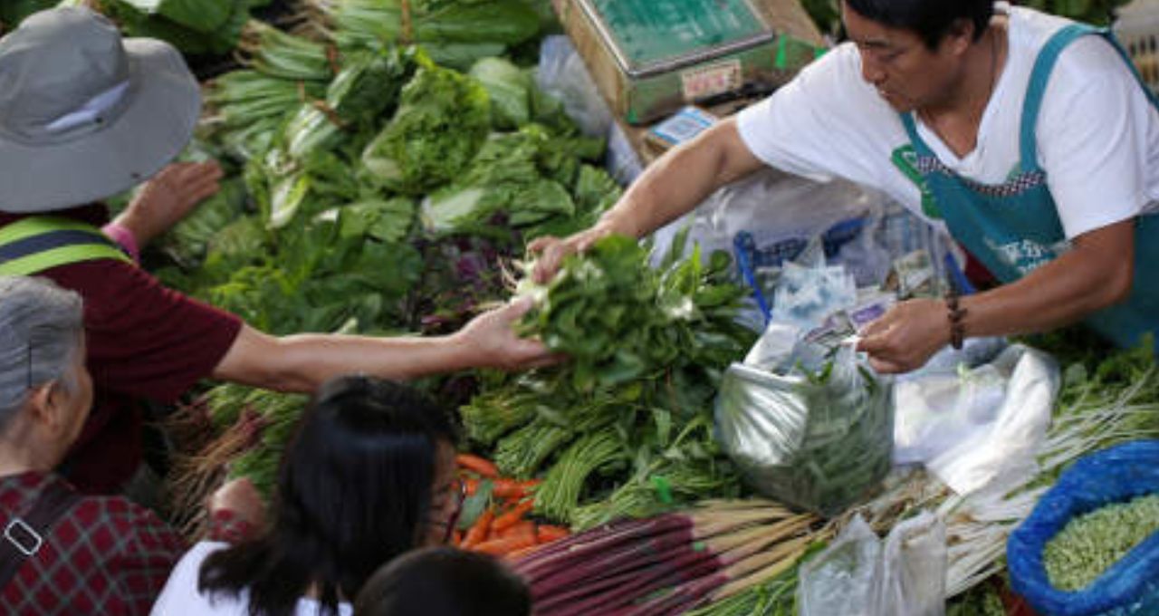 segurança alimentar clima (1)