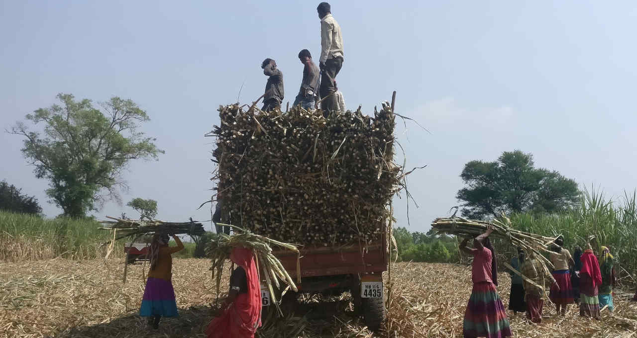 agro la niña