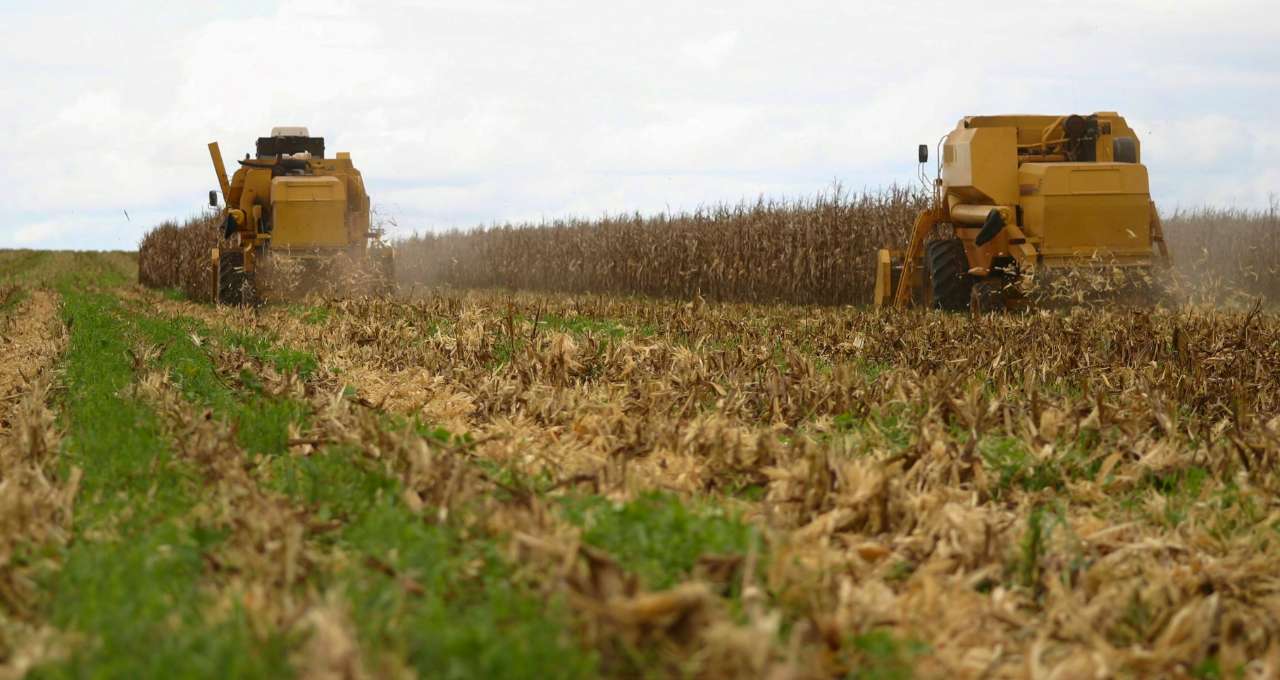 agro trump