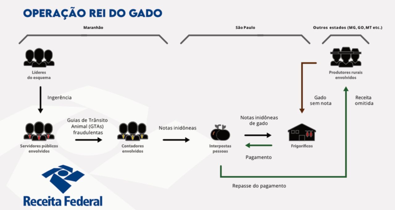 receita federal gado