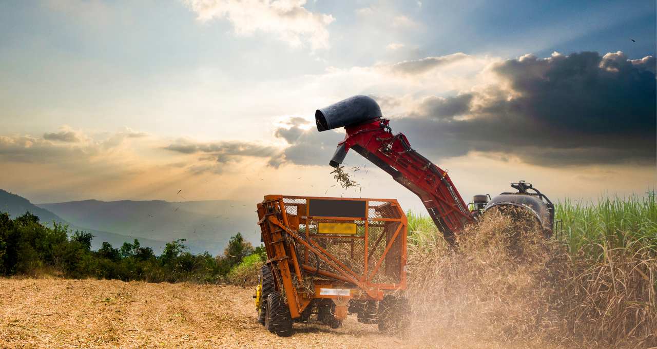 Alimentos, Agronegócio, Bebidas, BB Investimentos, Agro Times