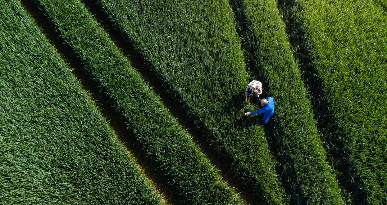 cra certificados de recebíveis do agronegócios