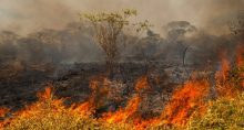 queimadas clima incêndios (1)