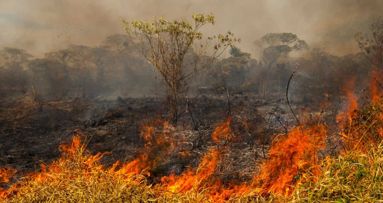 queimadas clima incêndios (1)