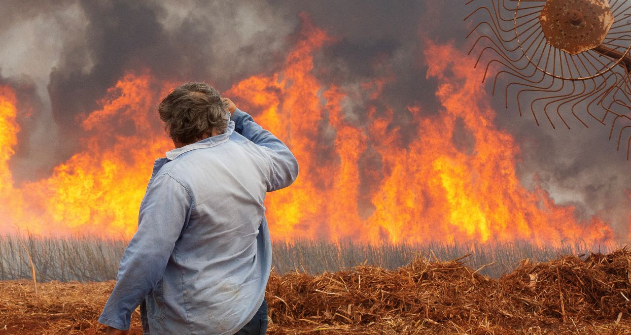 raízen incêndios cosan csan