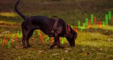 cão farejador da bolsa robô lucros