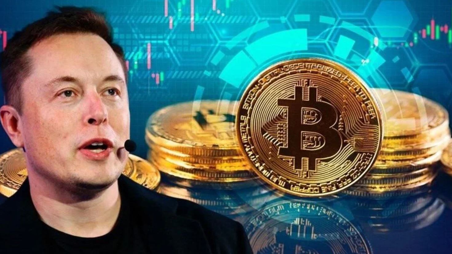 elon musk criptomoedas criptoativos