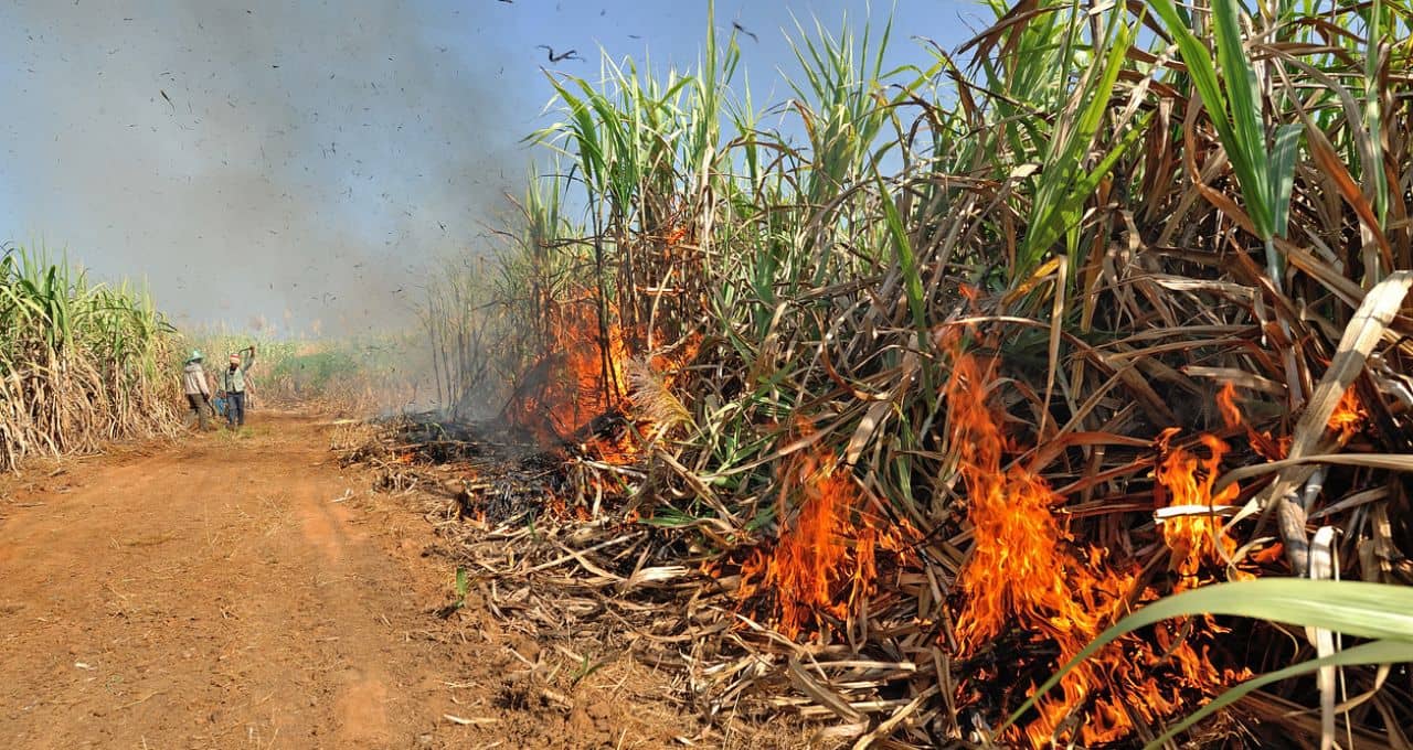 incêndio etanol açúcar (1)