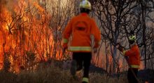 incêndios queimadas (1)