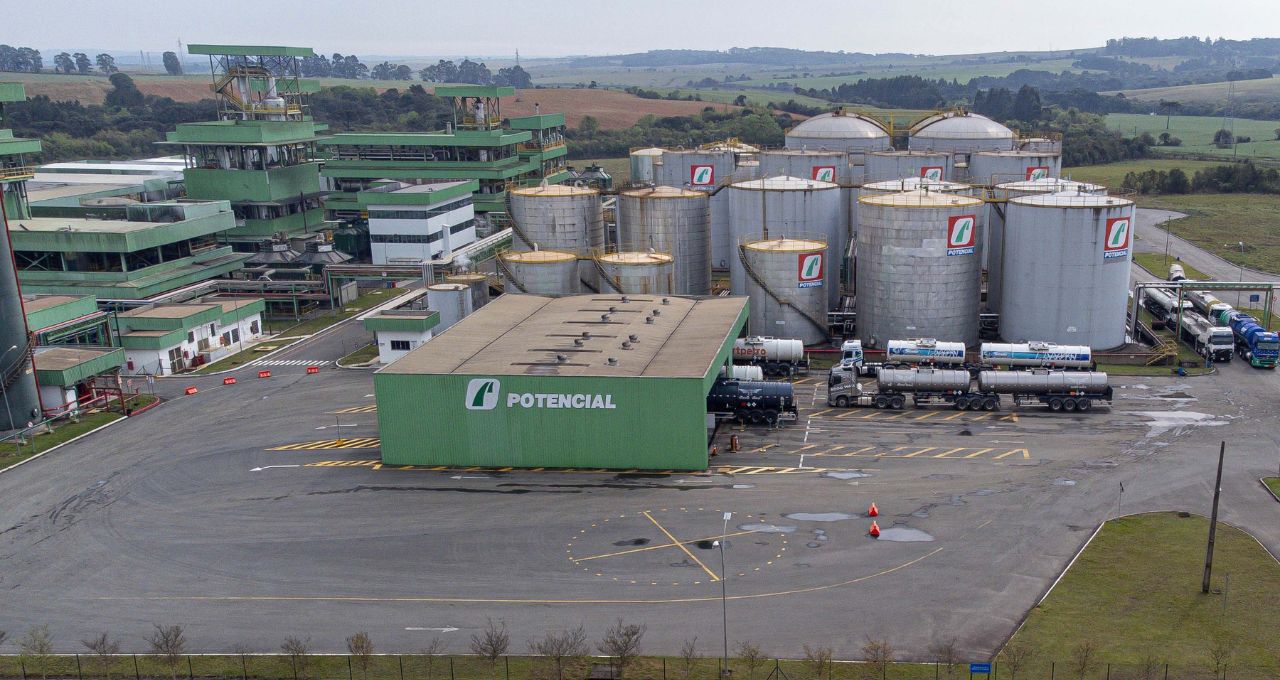 biodiesel soja grupo potencial