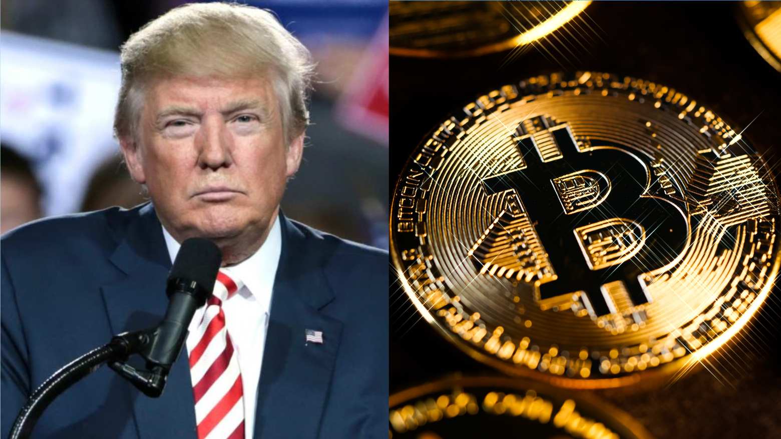 cripto criptomoedas bitcoin btc donald trump