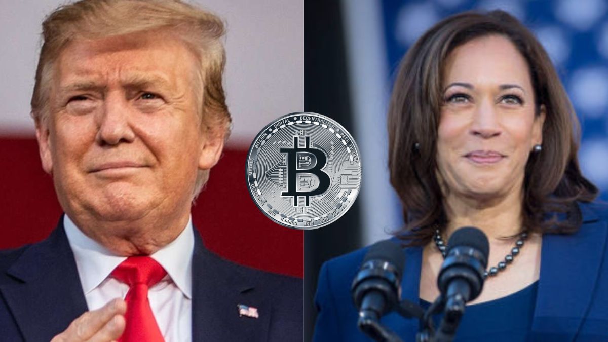 eleições-memecoin-eua-kamala-harris-donald-trump