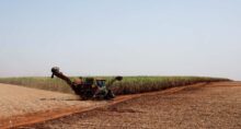 Açúcar, cana-de-açúcar, Agro Times, Unica