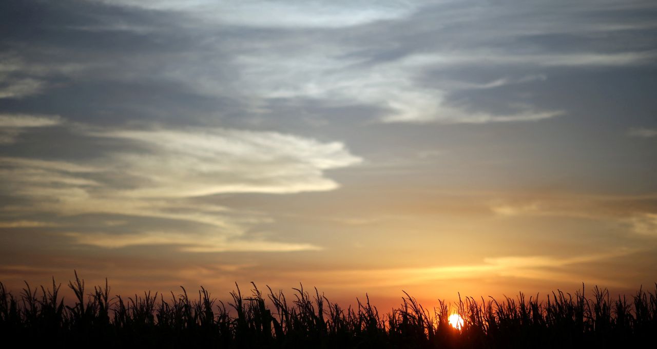 Agricultores argentina impostos