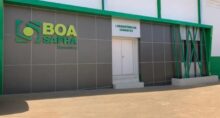 Boa safra soja3