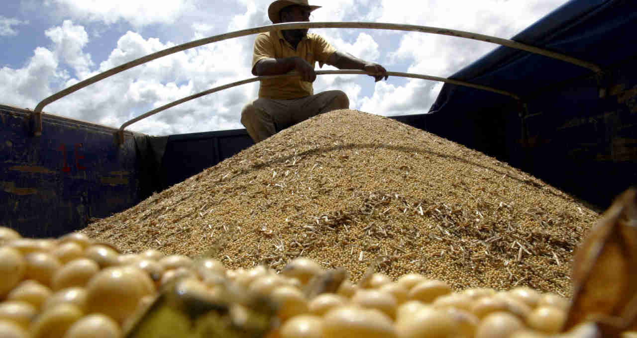 Caminhão carregado com soja nas lavouras de Lucas do Norte, no Mato Grosso