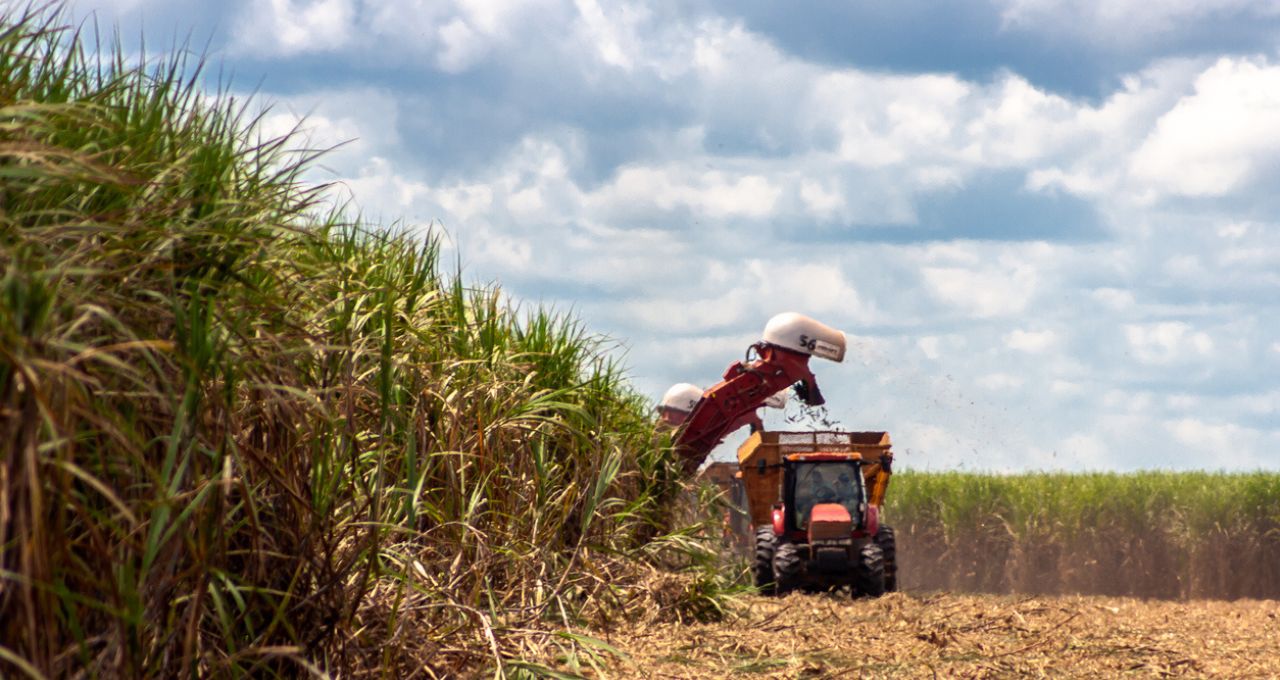 Agro raízen