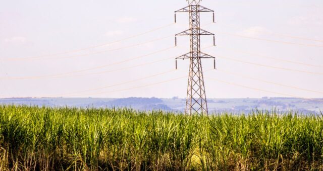 Tarifa de Trump para etanol ameaça sucroenergia no Nordeste, diz NovaBio